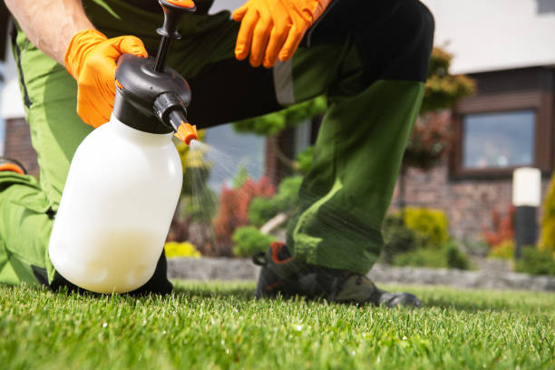 Best Pest Prevention Services  in Shenandoah, IA