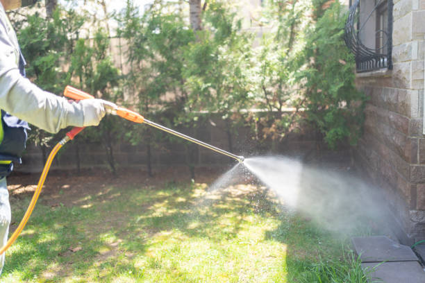 Best Residential Pest Control  in Shenandoah, IA